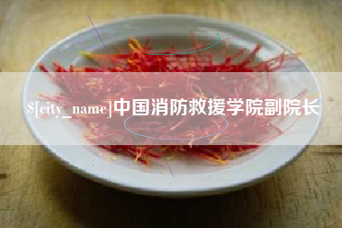 阿拉善盟中国消防救援学院副院长