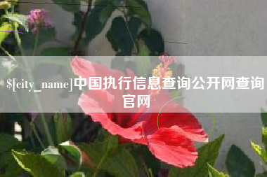 阿拉善盟中国执行信息查询公开网查询官网