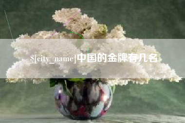 阿拉善盟中国的金牌有几名