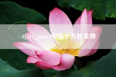 阿拉善盟中国十九枚金牌