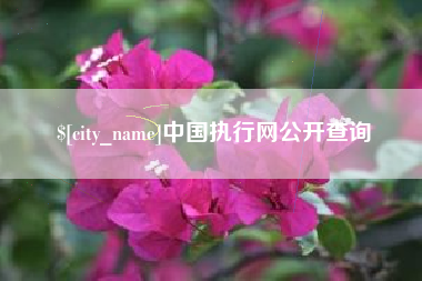 阿拉善盟中国执行网公开查询