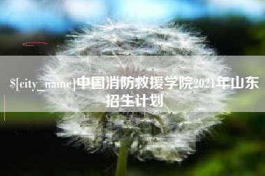 阿拉善盟中国消防救援学院2021年山东招生计划