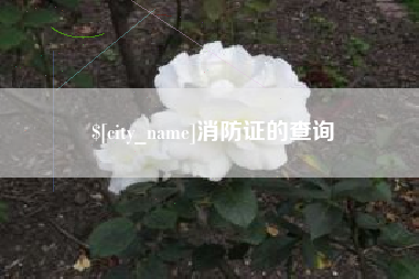 阿拉善盟消防证的查询