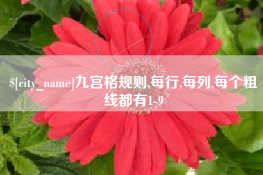 阿拉善盟九宫格规则,每行,每列,每个粗线都有1-9