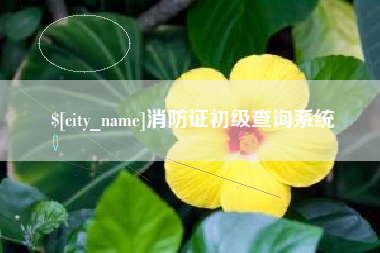 阿拉善盟消防证初级查询系统