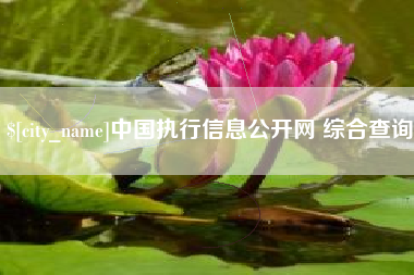 阿拉善盟中国执行信息公开网 综合查询