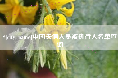 阿拉善盟中国失信人员被执行人名单查询