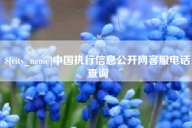 阿拉善盟中国执行信息公开网客服电话查询
