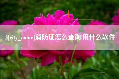 阿拉善盟消防证怎么查询,用什么软件