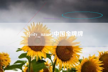 阿拉善盟中国金牌牌