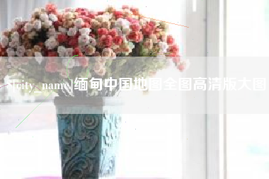 阿拉善盟缅甸中国地图全图高清版大图