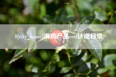 阿拉善盟消防产品cccf认证目录