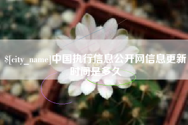 阿拉善盟中国执行信息公开网信息更新时间是多久