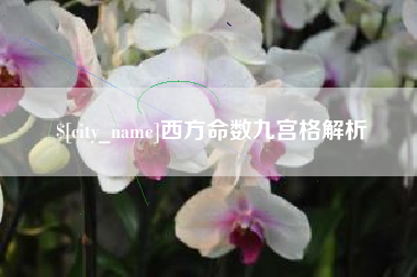 阿拉善盟西方命数九宫格解析