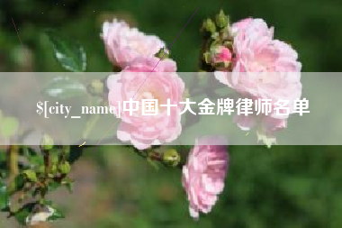 阿拉善盟中国十大金牌律师名单