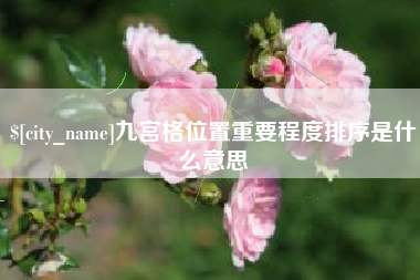 阿拉善盟九宫格位置重要程度排序是什么意思