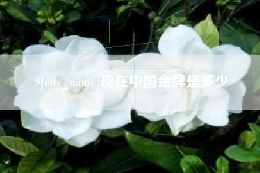 阿拉善盟现在中国金牌是多少