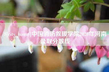 阿拉善盟中国消防救援学院2020年河南录取分数线