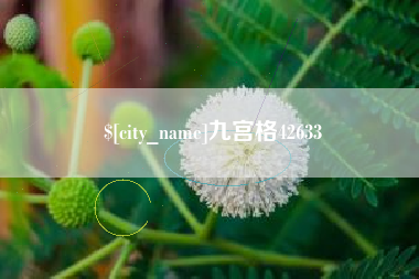 阿拉善盟九宫格42633
