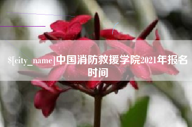 阿拉善盟中国消防救援学院2021年报名时间