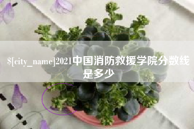 阿拉善盟2021中国消防救援学院分数线是多少