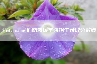 阿拉善盟消防救援学院招生录取分数线