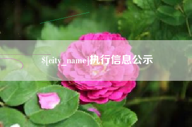 阿拉善盟执行信息公示