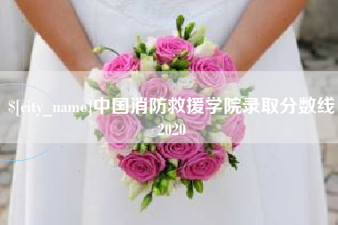 阿拉善盟中国消防救援学院录取分数线2020