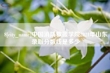 阿拉善盟中国消防救援学院2021年山东录取分数线是多少