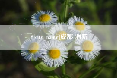 阿拉善盟成都 消防