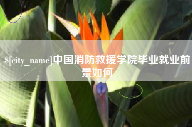 阿拉善盟中国消防救援学院毕业就业前景如何