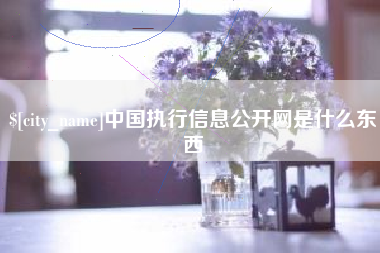 阿拉善盟中国执行信息公开网是什么东西