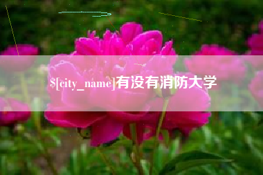 阿拉善盟有没有消防大学