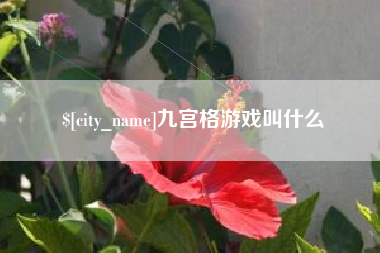 阿拉善盟九宫格游戏叫什么