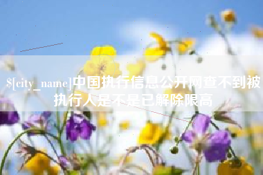 阿拉善盟中国执行信息公开网查不到被执行人是不是已解除限高