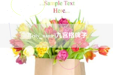 阿拉善盟九宫格牌子