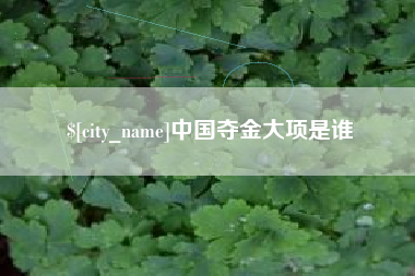 阿拉善盟中国夺金大项是谁