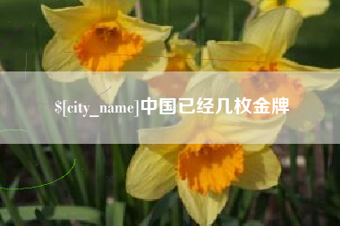 阿拉善盟中国已经几枚金牌