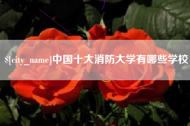 阿拉善盟中国十大消防大学有哪些学校