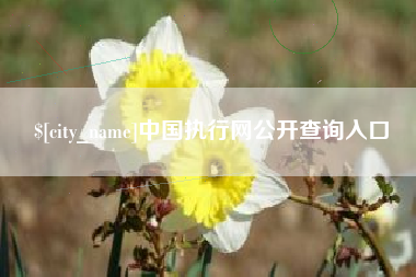 阿拉善盟中国执行网公开查询入口