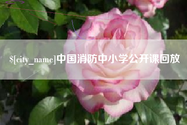 阿拉善盟中国消防中小学公开课回放