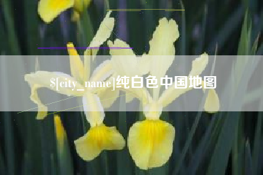 阿拉善盟纯白色中国地图