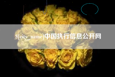 阿拉善盟中国执行信息公开网