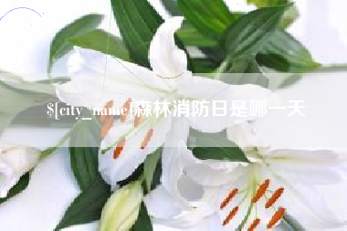 阿拉善盟森林消防日是哪一天