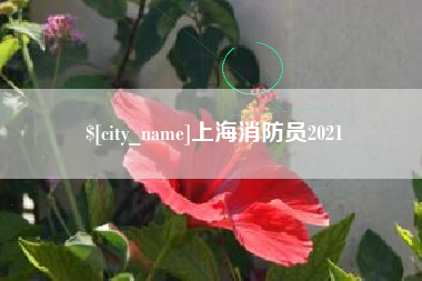 阿拉善盟上海消防员2021