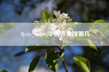 阿拉善盟中国夺金排第几