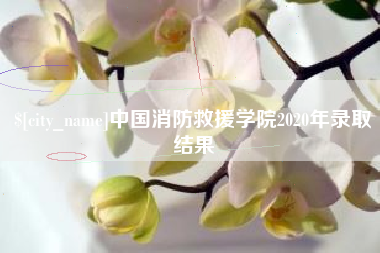 阿拉善盟中国消防救援学院2020年录取结果