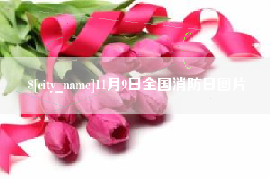 阿拉善盟11月9日全国消防日图片