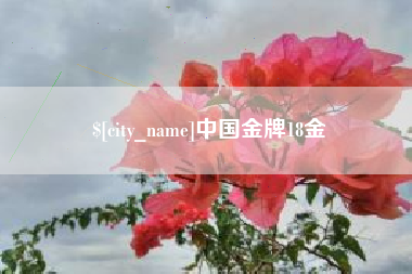 阿拉善盟中国金牌18金