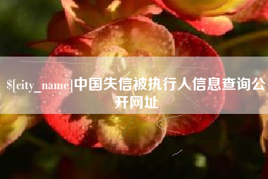 阿拉善盟中国失信被执行人信息查询公开网址